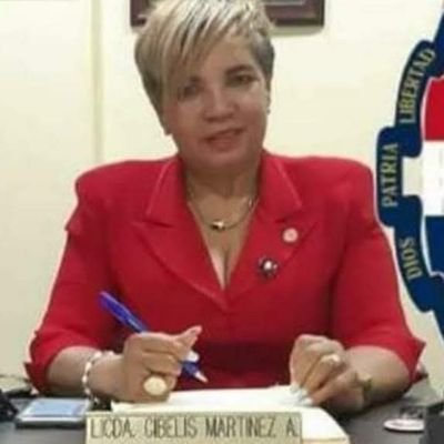Abogada Notario Publico, ex juez de la S.C.J. abogada de la defensa pública, trabajo en varias instituciones del estado Dominicano experta en cobros compulsivos