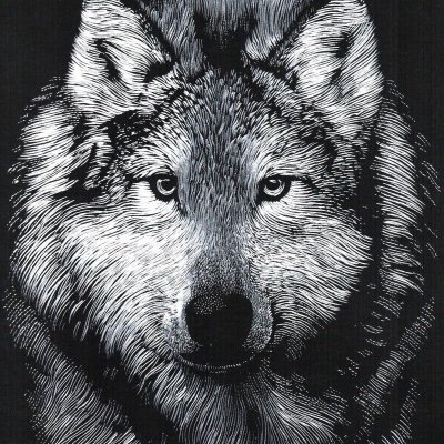 silverwolf188 Profile Picture