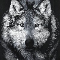 SilverWolf (@silverwolf188) 's Twitter Profile