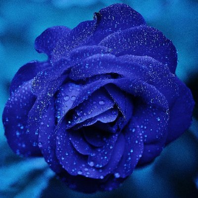 collinluca04's profile picture. 18 - Startup enthusiast