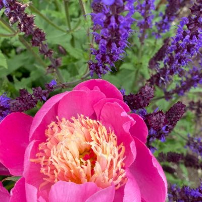 Growers of exceptional Ornamental Grasses, Perennials and edibles for the Western Canadian Independent Garden Centre.