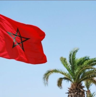 OnBled's profile picture. 