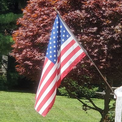 consermom06's profile picture.
