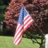 consermom06's profile picture.