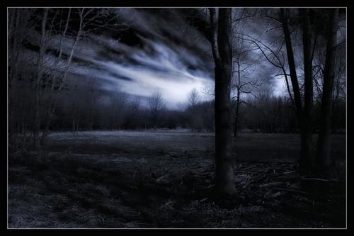 Toni_Gothly's profile picture. Hi, im Toni, not much to say other than i love teslas, andi hope someday to get one