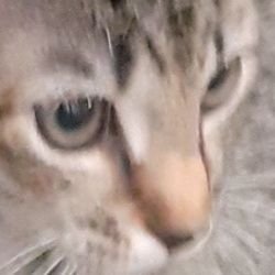 spacemax10's profile picture. 