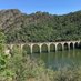 Trains Cévennes Auvergne (@TrainCvnAuvergn) Twitter profile photo