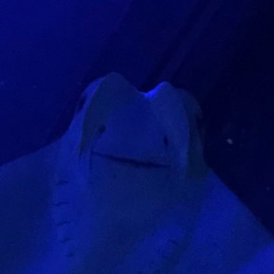 theseventhseal6's profile picture. Nobody move! There’s blood on the floor