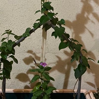 Fahad_Alhussain's profile picture. 