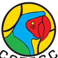 Cotecc (@cotecctennis) 's Twitter Profile