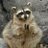 Rebob66761652's profile image