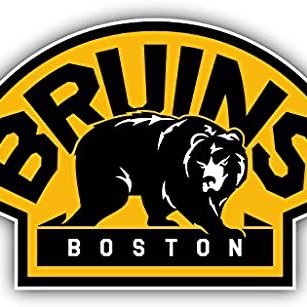 General Manager of the TNHL Boston Bruins