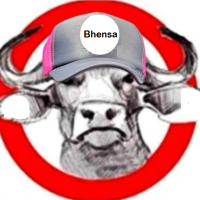 Bhensa(@bhensaa) 's Twitter Profile Photo