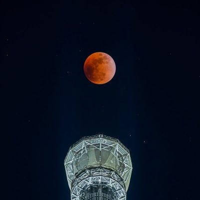 L8I3xsWZiZe2HEf's profile picture. ゲーム垢です