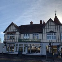 The Old Walnut Tree (@oldwalnuttree) 's Twitter Profile