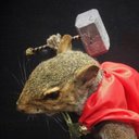 John Spitz - @JohnSpitz10 - Twitter