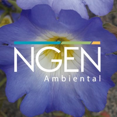 Ngen Ambiental