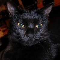 Yoshikazu Aoyama (@blauerberg) Twitter profile photo