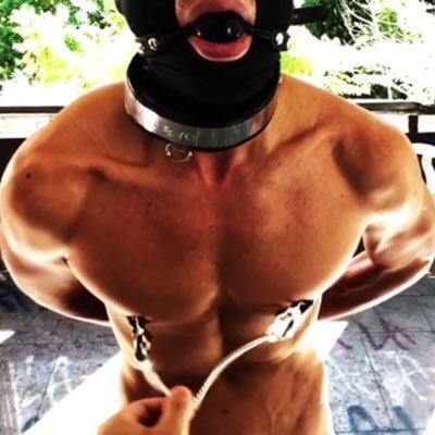 阿瑞斯s 肌肉运动 Sens12s Twitter 阿瑞斯s 肌肉运动 Sens12s Twitter