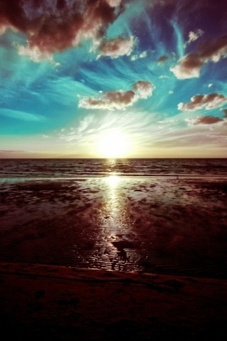 54Songbird's profile picture. I am a Joy Carrier and love singing,worshiping  and being in God presence.  I am a wife, mother, grandmother and have two daughters and 5 grandchildren.