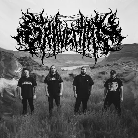 Boise Hardcore / Death metal                 
         gravetitan208@gmail.com