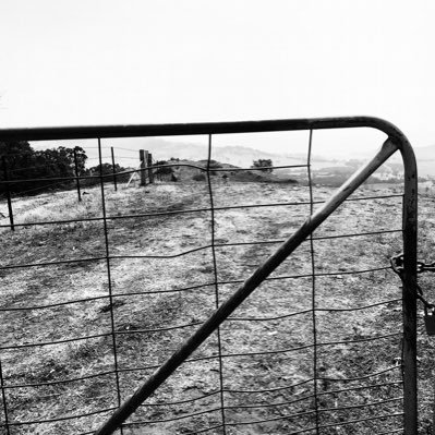 Boheme01's profile picture. sea shepherd is my other job and the most rewarding. look after and respect the environment and it will look after you.