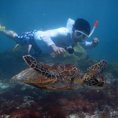 long7741's profile picture. 沖縄(特に宮古島)とコーギーが大好きです😊







愛犬  茶々丸🐶(10歳)です😊

無言フォローお許しください😆