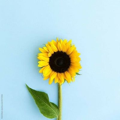 ADN_CDMX's profile picture. amante de la naturaleza