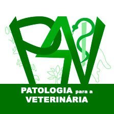 O seu laboratório de prestação de serviços em anatomia patológica veterinária em São Paulo