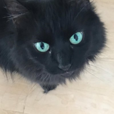 RhondaJ16758720's profile picture. 