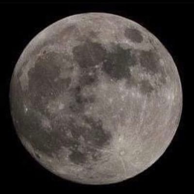 ZRoden's profile picture. 