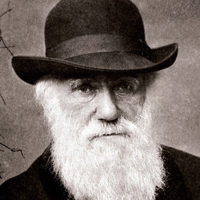 ch_darwin_OK Profile Picture