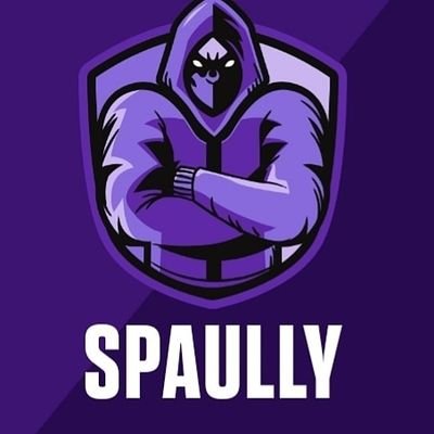 Spaully_ Profile