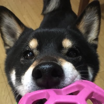 take5run's profile picture. ザックとジジイ推し