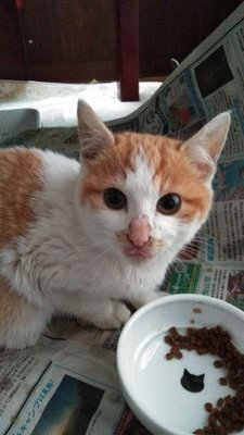 c3Qr1FDosJ4POgR's profile picture. わんこ、にゃんこ、ぱん好き
健太郎くん、芳雄くん
ミュージカル好きなおばちゃんだよ。