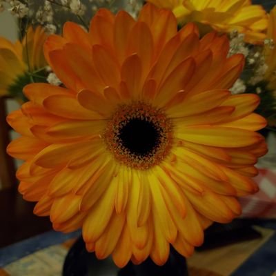 SoundsTruthful's profile picture. Immigrant, mother, wife, 100 % support military & LE, I stand for the 🇺🇲, Trump is my President. typos included for free- deal w/it.