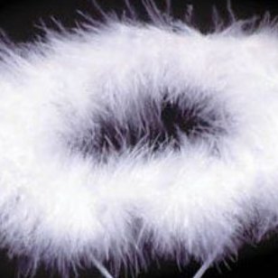 HalHalo2020's profile picture. Official Halloween Halo 2020💅👻
The Official Halloween Halo 2020 Twitter Page!
(The next cutest halo)
RHTC
100+ little halos 🥰