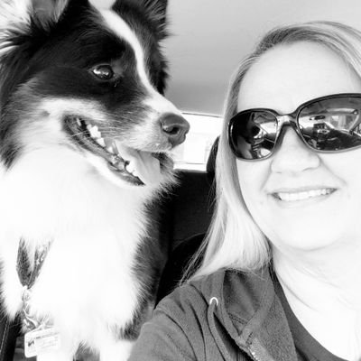 Love my Icelandic Sheepdogs, my Subaru and being out and about road tripping with my Icelandic co-pilots.