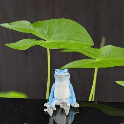 Kazu ミナミヌマエビ10匹くださいってお願いしたら 綿の中に何匹隠れてるかな 100匹位 推定 おるやん 生まれたて の稚エビが ミナミヌマエビ アクアリウム サービス満点 某ペットショップ たぶん店員さんも気づいていない T Co Ys5ykhqbky Kazu ミナミヌマエビ10匹くださいってお願いしたら 綿の中に何匹隠れてるかな 100匹位 推定 おるやん 生まれたて の稚エビが ミナミヌマエビ アクアリウム サービス満点 某ペットショップ たぶん店員さんも気づいていない T Co Ys5ykhqbky
