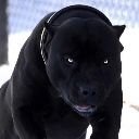 Wolf4593's profile picture. 🇵🇱🇪🇺 ***** ***⚡#SilniRazem *liberał*zdecydowany antyklerykał*  @Rammstein  @acdc