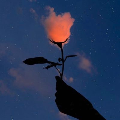 Elle Hoy En Un Curso Salio Esta Imagen Y Reflexionamos Sobre Algo Que Les Quiero Compartir A Veces Somos Esa Semilla Que Esta Creciendo Pero Nadie La Ve Pronto