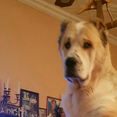 lta19991's profile picture. 