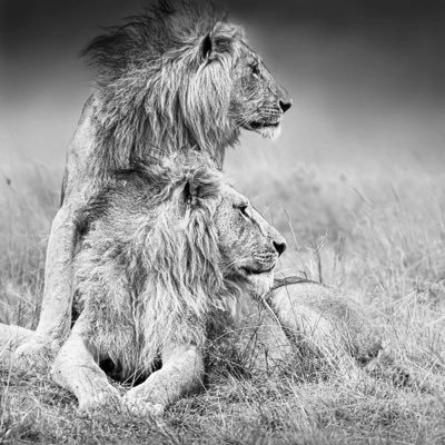 Abdirah03671628's profile picture. 