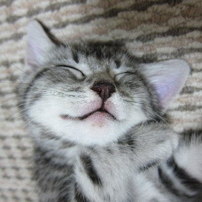 3QSxbVPY8MuSjAx's profile picture. 