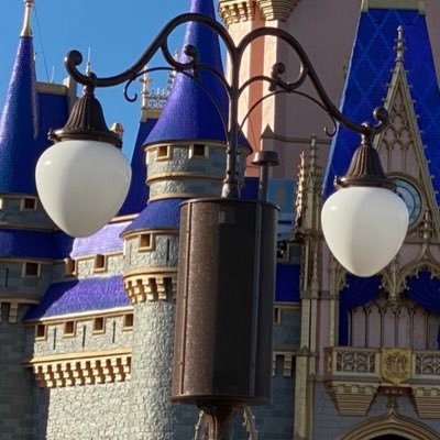 Delivering the sound of Main Street USA, we are the Street Light Speaker Army! We also light up! 💡 🔊 Follow our “Tweeter”! Part of the #distwitter family!