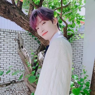 monda172's profile picture. เป็นคนสวย รักหมา ติ่งkpop