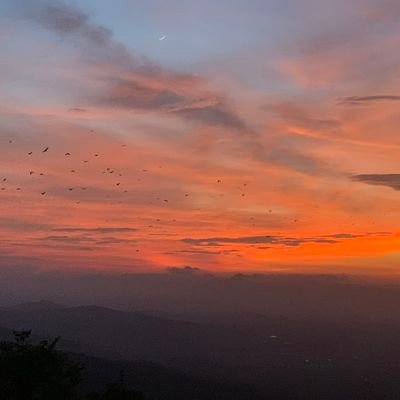 अभिव्यक्ति की आजादी