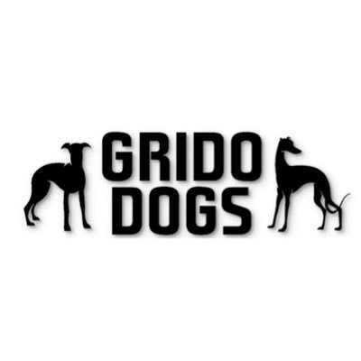 16 🐾 patas viajando en 🚐 y disfrutando del deporte con 🐶. #GridoDogsTeam #Canicross #Bikejöring #Mushing #Sub15Power #Agility #PerFriendly