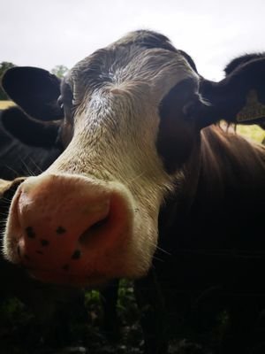 diggingdeep2020's profile picture. 