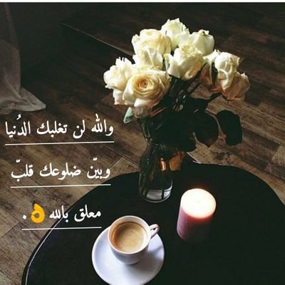اللّٰهم علّق قلبي بالصلاه‍ والقرآن و بالآخره‍ حتي ألقاك ..♡.. الجنّة هي الحلم الوحيد الذي لا تنتهي صلاحيته! اللهّم أسألك رضاك  والثبات اذا تاهت أقدامي♡.